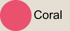 Coral Coral