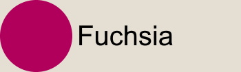 Fuchsia Fuchsia