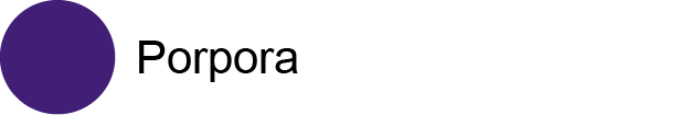 Porpora Porpora