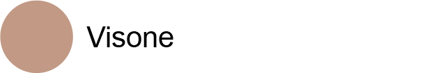 Visone Visone