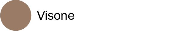 Visone Visone